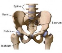 Three Ways Tucking Your Pelvis Can Hurt You - Pilates Tonic Chattanooga